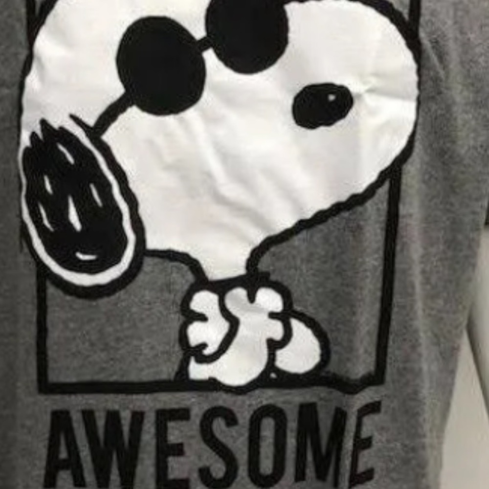 Snoopy is the coolest New in unopened package -